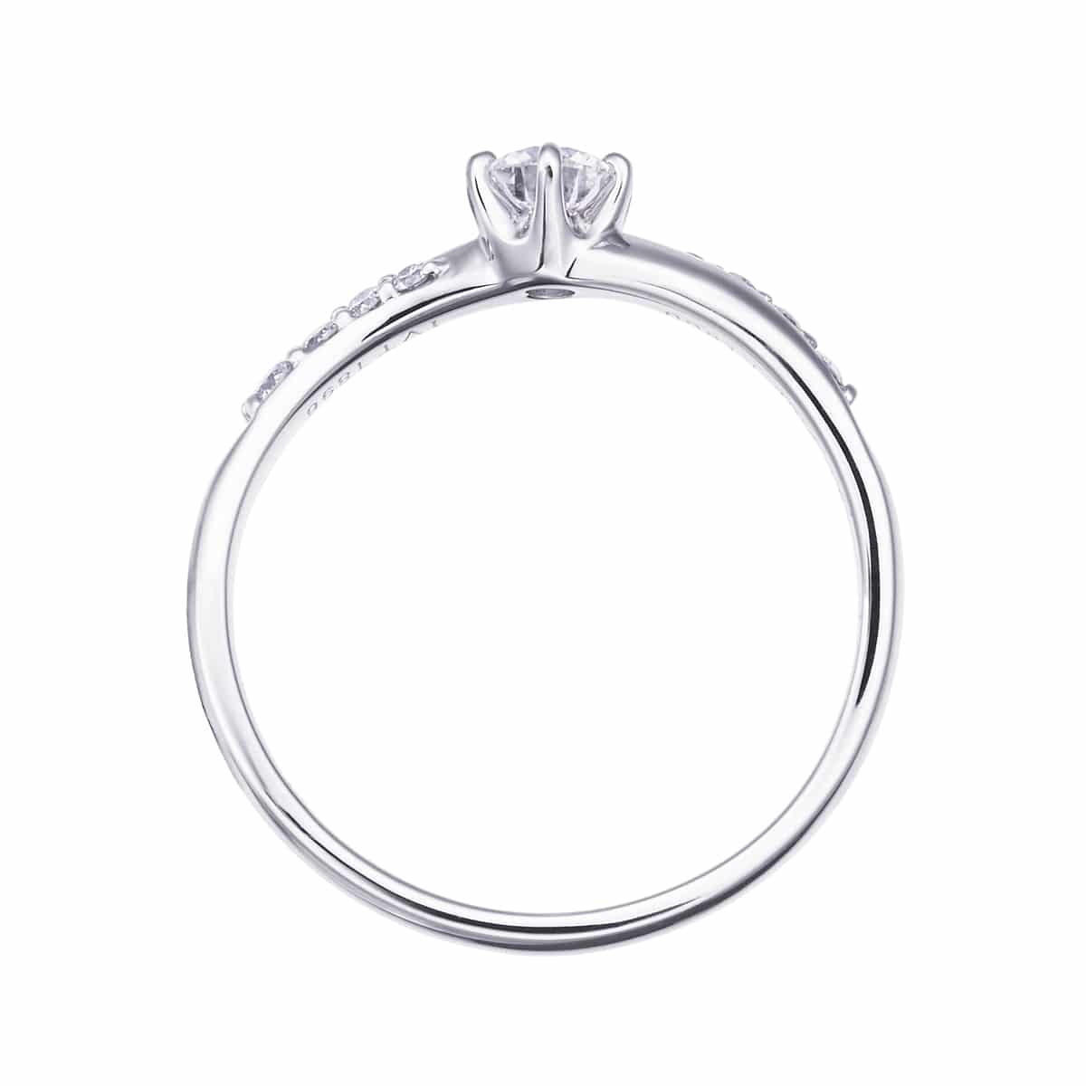 �v���`�i�Ӓ菑�t�_�C�������h�����O�i0.25�J���b�g�j