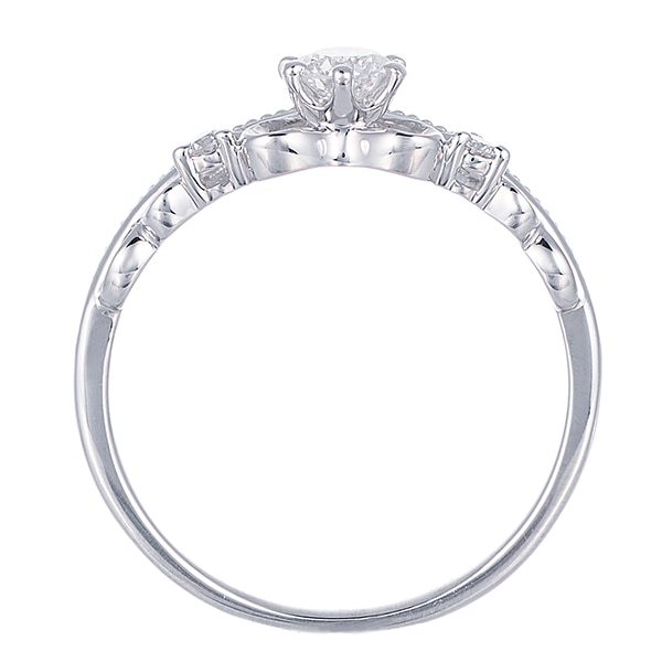 �v���`�i�Ӓ菑�t�_�C�������h�����O�i0.19�J���b�g�j