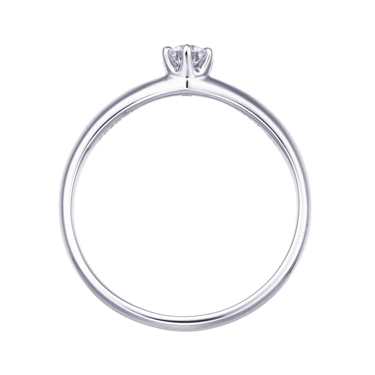 �v���`�i�Ӓ菑�t�_�C�������h�����O�i0.16�J���b�g�j