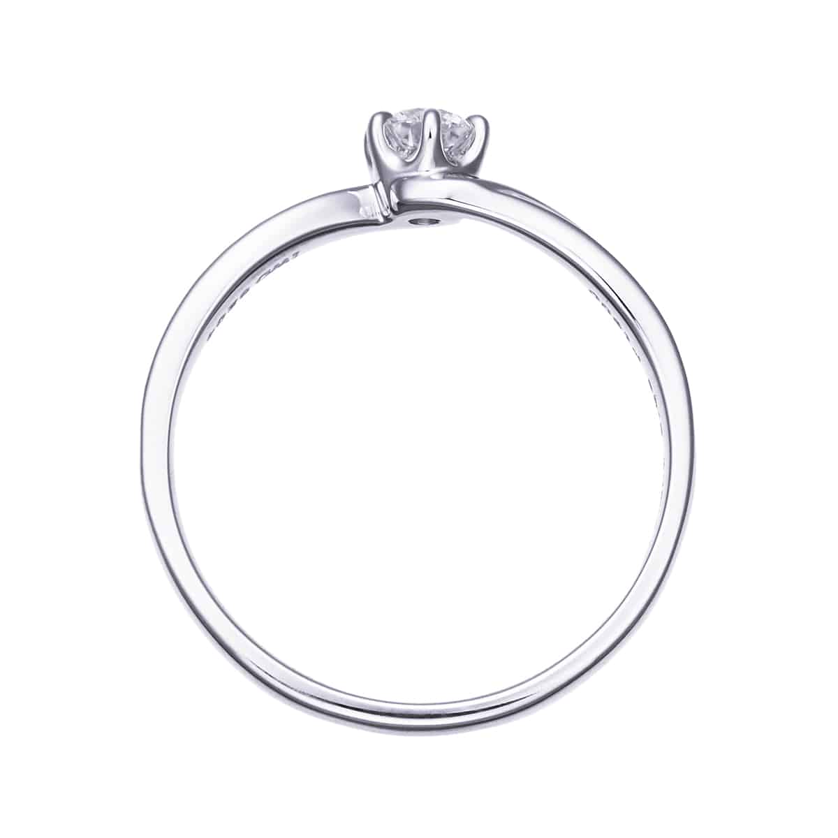 �v���`�i�Ӓ菑�t�_�C�������h�����O�i0.2�J���b�g�j