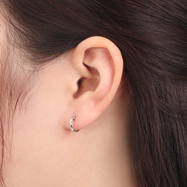 �v���`�i�s�A�X