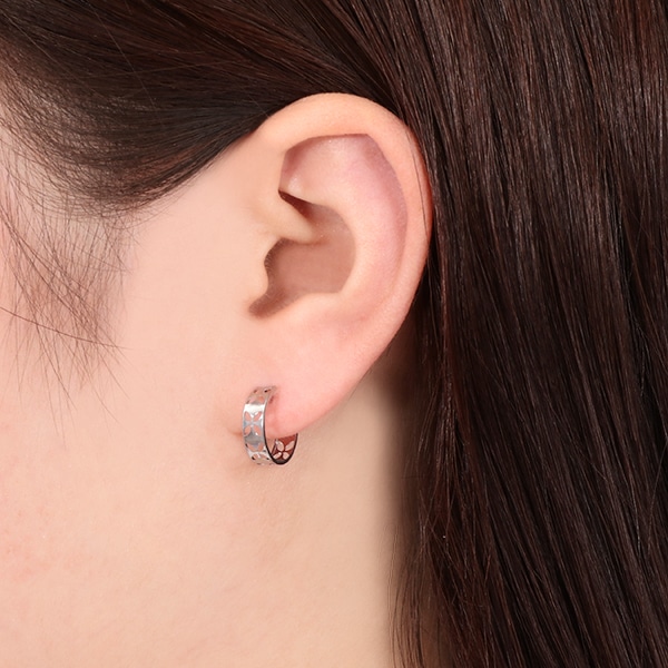 �v���`�i�s�A�X