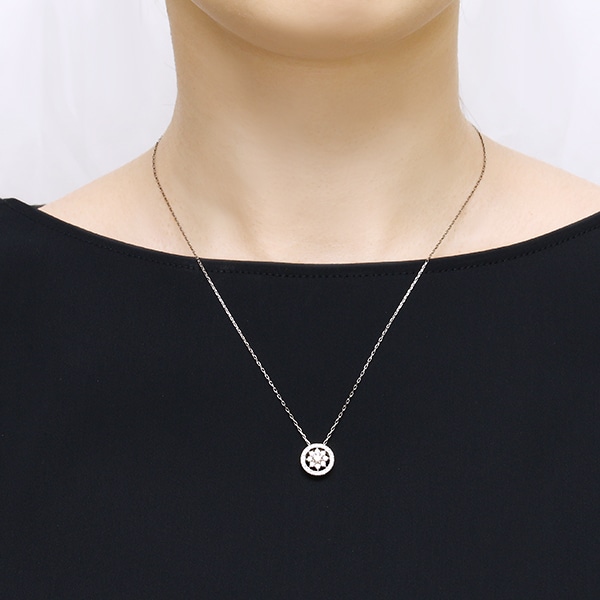 �v���`�i�_�C�������h�l�b�N���X