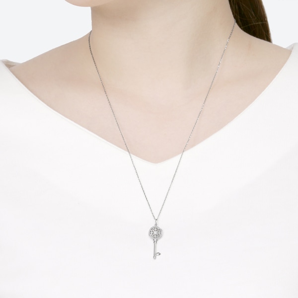 �v���`�i�_�C�������h�l�b�N���X