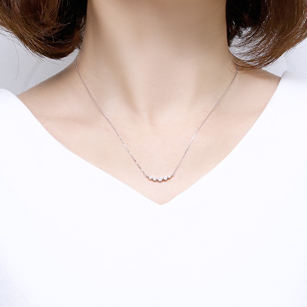 �v���`�i�_�C�������h�l�b�N���X