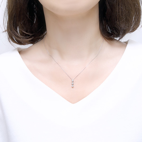 �v���`�i�_�C�������h�l�b�N���X