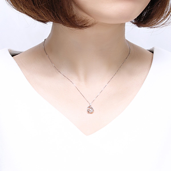 �v���`�i�_�C�������h�l�b�N���X