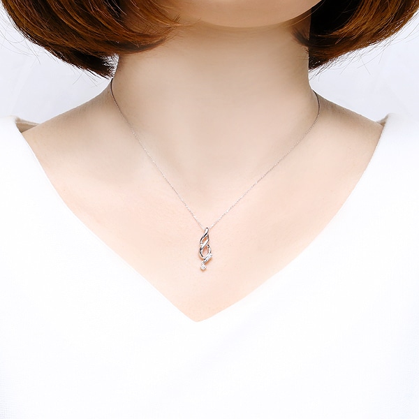 �v���`�i�_�C�������h�l�b�N���X