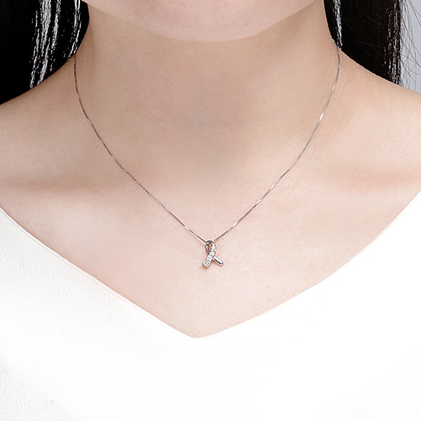 �v���`�i�_�C�������h�l�b�N���X