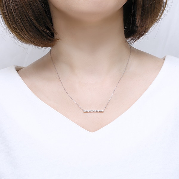 �v���`�i�_�C�������h�l�b�N���X