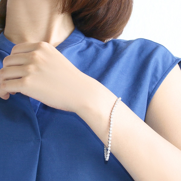 �v���`�i�_�C�������h�u���X���b�g