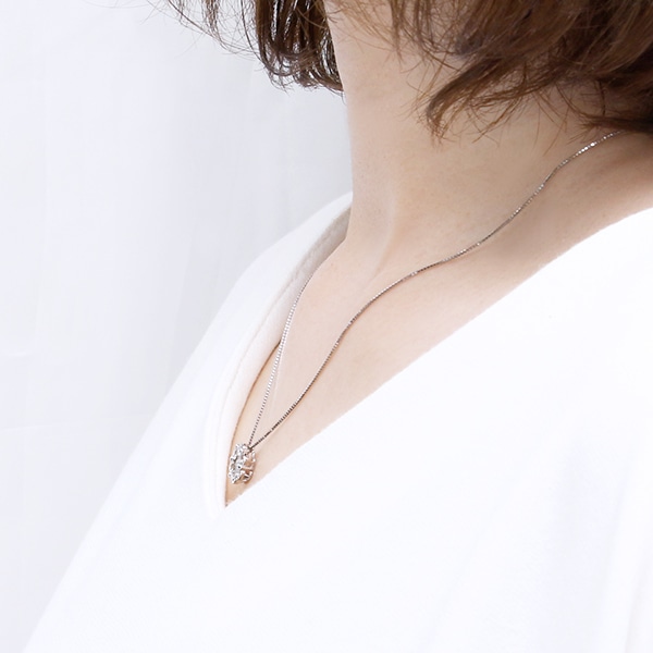 �v���`�i�_�C�������h�l�b�N���X