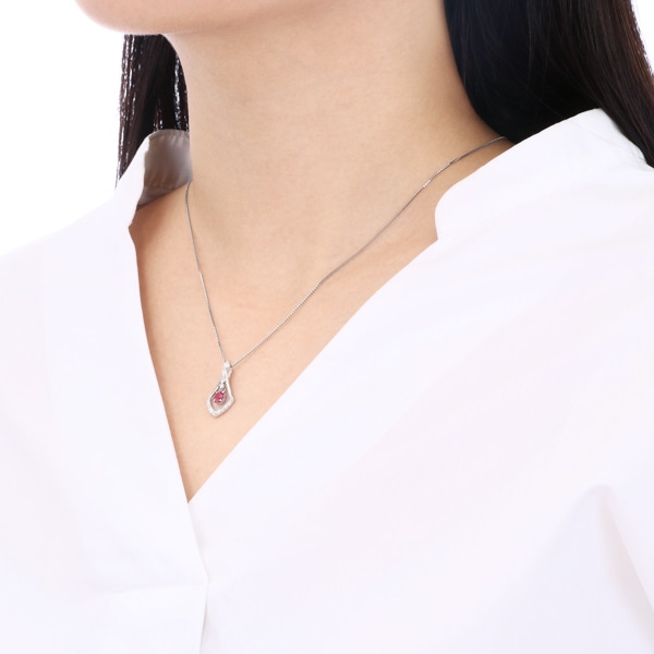 �v���`�i���r�[�l�b�N���X