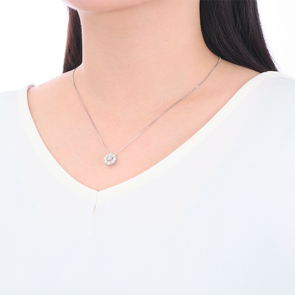 �v���`�i�_�C�������h�l�b�N���X