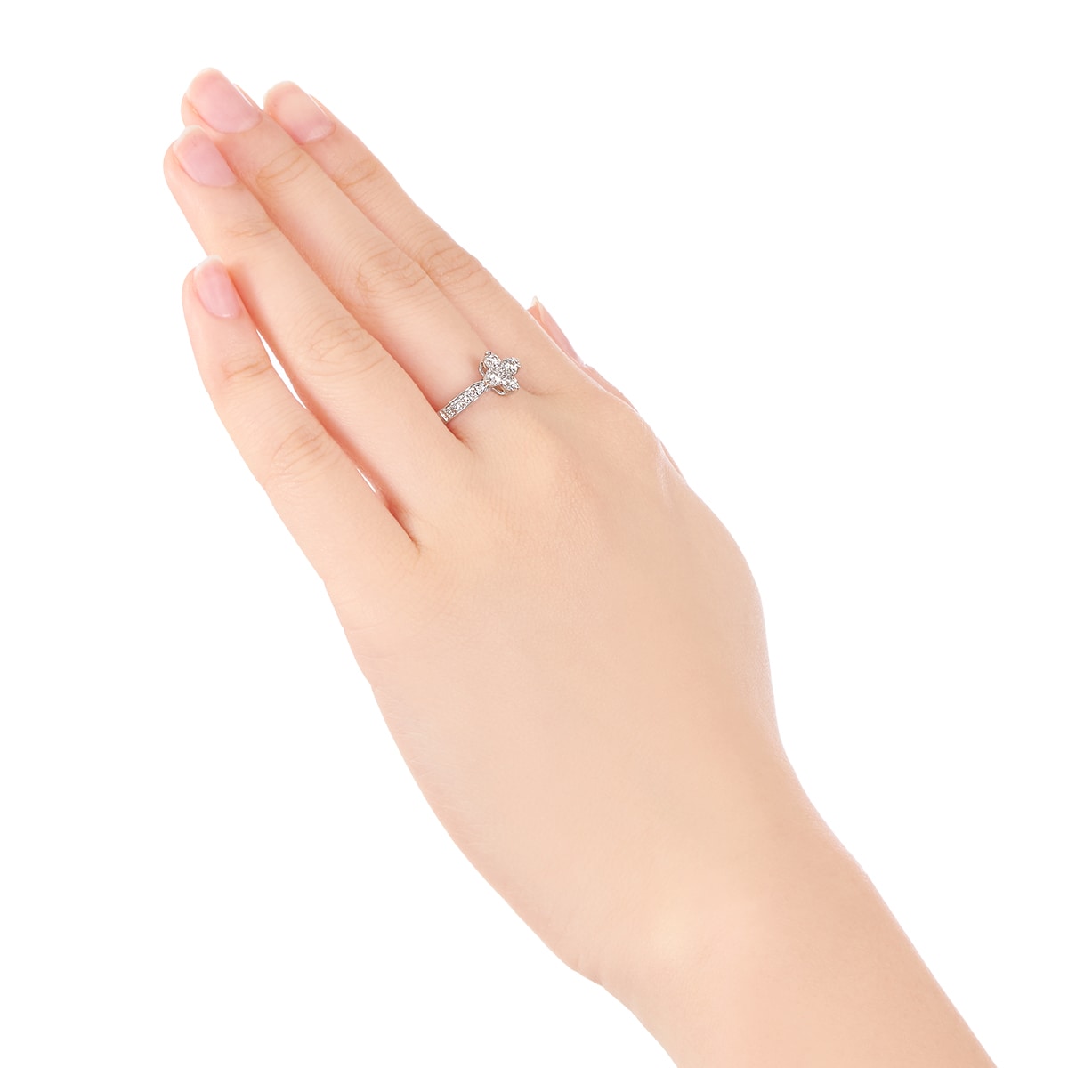 �v���`�i�_�C�������h�����O