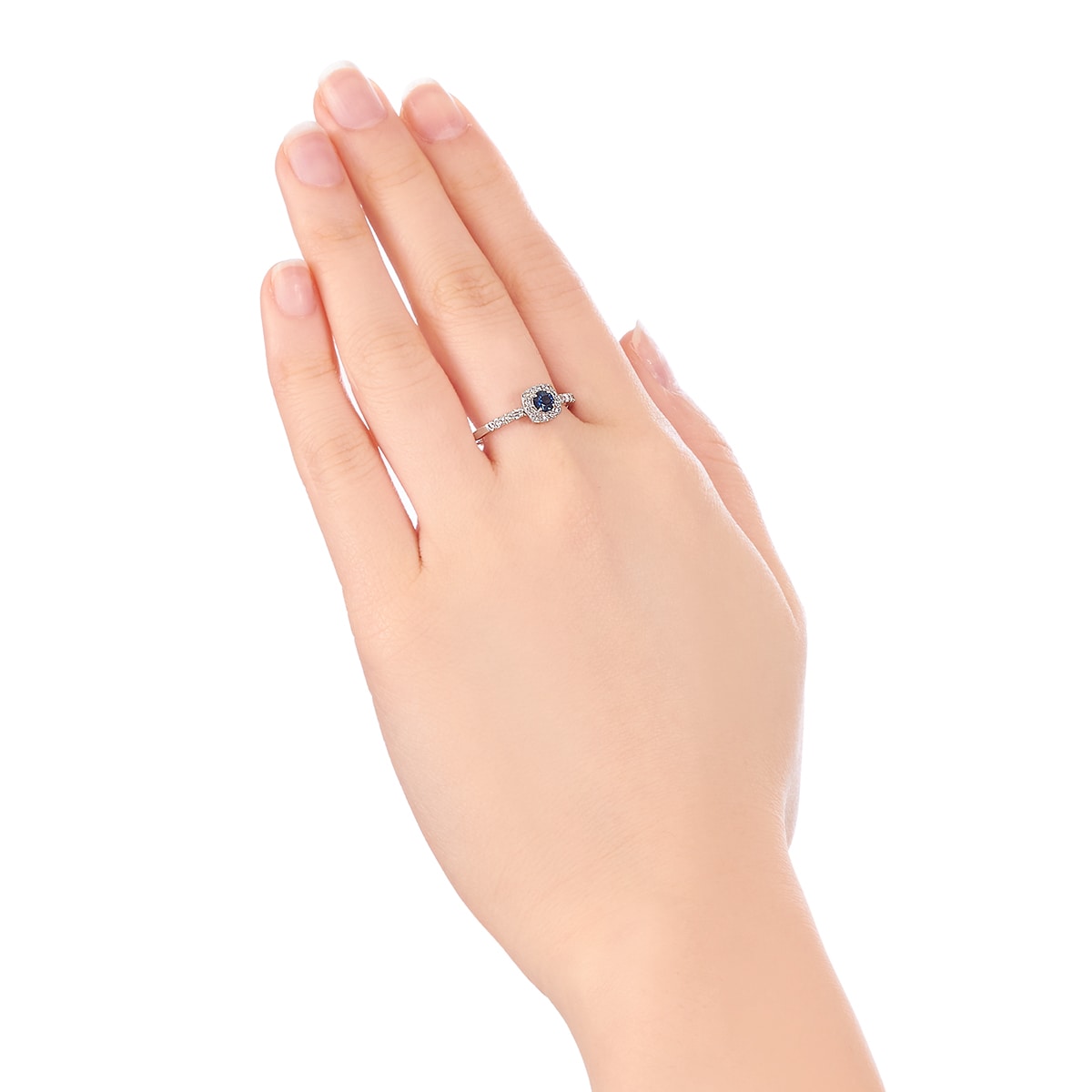 �v���`�i�T�t�@�C�A�����O