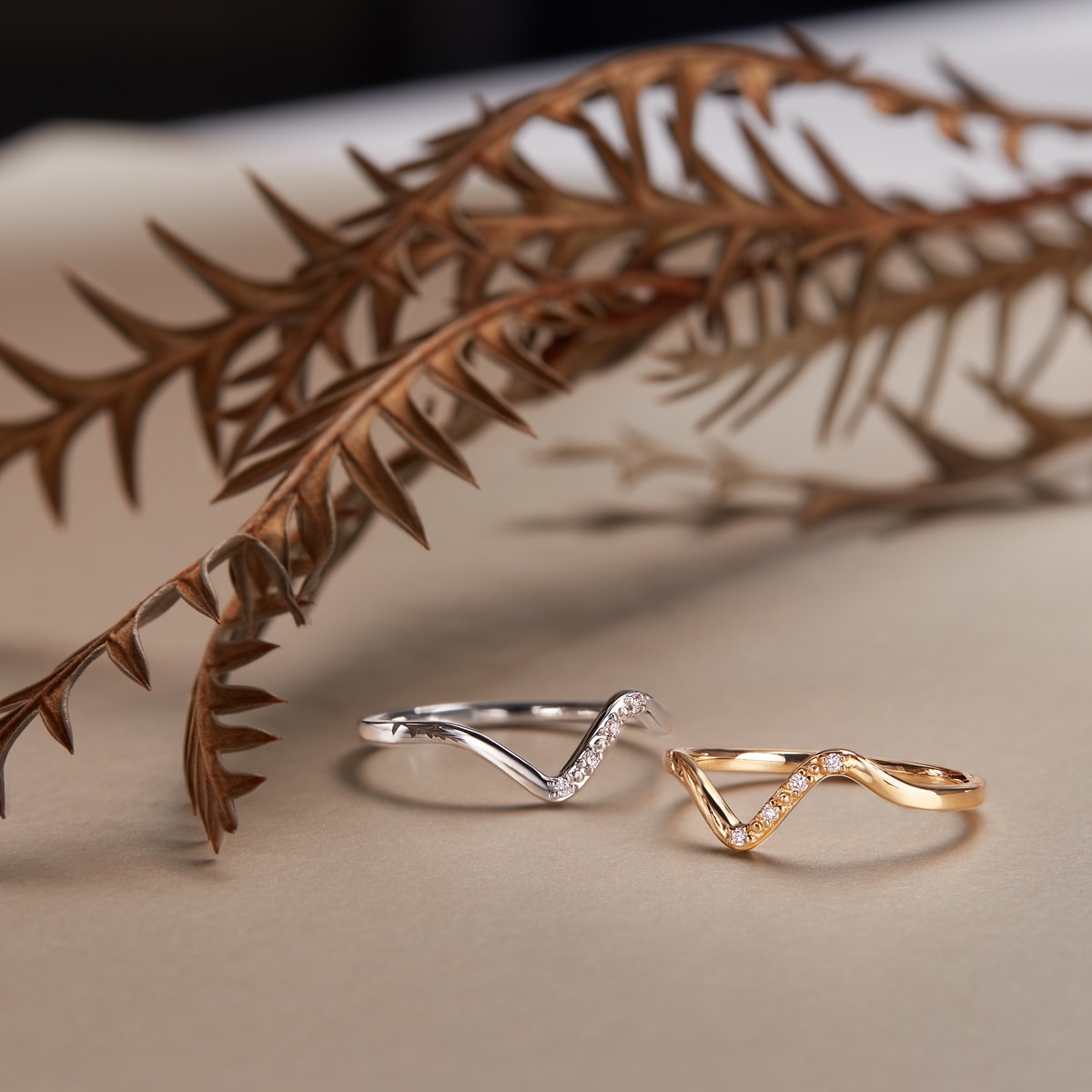 K10�z���C�g�S�[���h�_�C�������h�����O