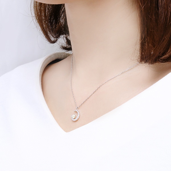 �v���`�i�Ӓ菑�t�_�C�������h�l�b�N���X�i0.18�J���b�g�j