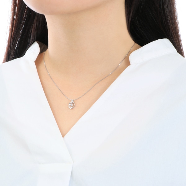 �v���`�i�Ӓ菑�t�_�C�������h�l�b�N���X�i0.1�J���b�g�j