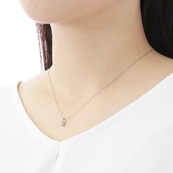 �v���`�i�Ӓ菑�t�_�C�������h�l�b�N���X�i0.23�J���b�g�j