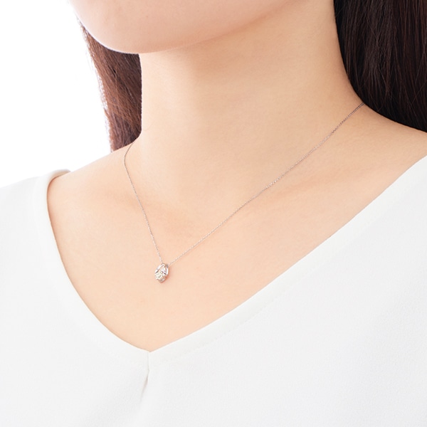 �v���`�i�Ӓ菑�t�_�C�������h�l�b�N���X�i0.21�J���b�g�j