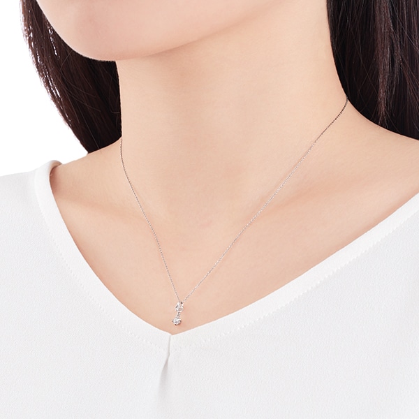 �v���`�i�Ӓ菑�t�_�C�������h�l�b�N���X�i0.17�J���b�g�j