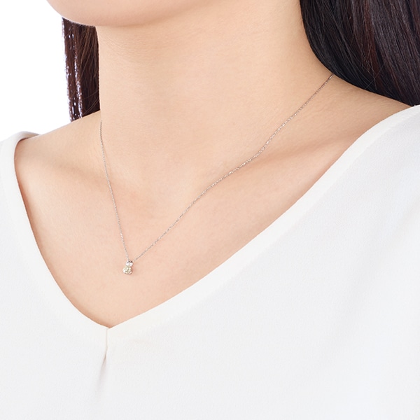 �v���`�i�Ӓ菑�t�_�C�������h�l�b�N���X�i0.17�J���b�g�j