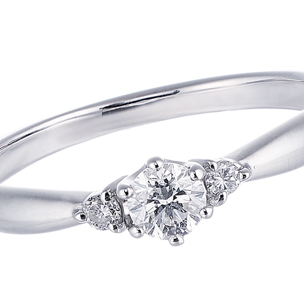 �v���`�i�Ӓ菑�t�_�C�������h�����O�i0.19�J���b�g�j