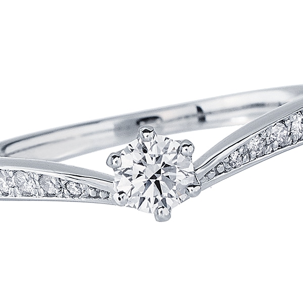 �v���`�i�Ӓ菑�t�_�C�������h�����O�i0.19�J���b�g�j