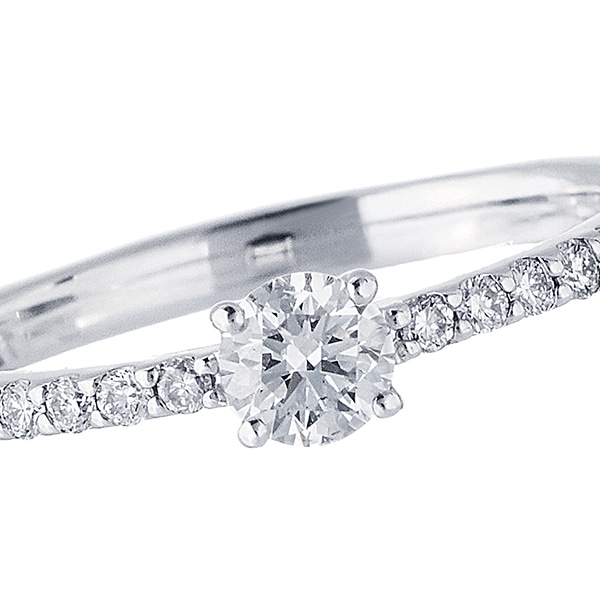 �v���`�i�Ӓ菑�t�_�C�������h�����O�i0.23�J���b�g�j