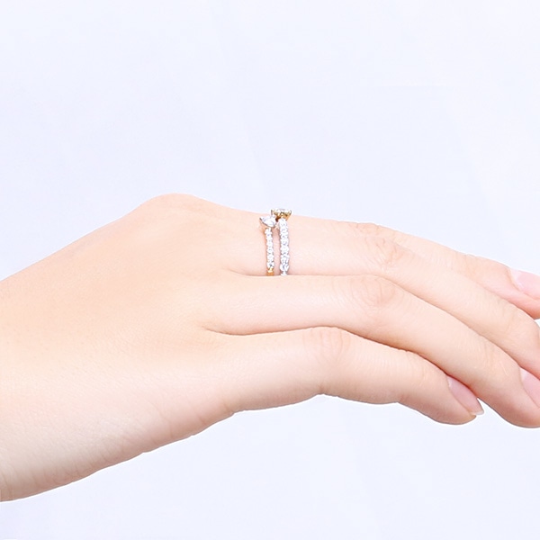 �v���`�i/K18�C�G���[�S�[���h�Ӓ菑�t�_�C�������h�����O�i0.18�J���b�g�j