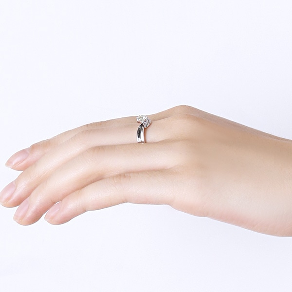 �v���`�i�Ӓ菑�t�_�C�������h�����O�i0.3�J���b�g�j