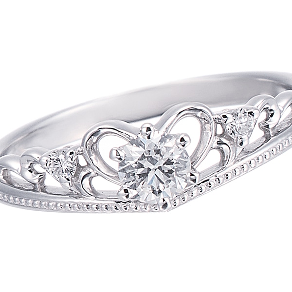 �v���`�i�Ӓ菑�t�_�C�������h�����O�i0.19�J���b�g�j