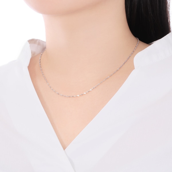 �v���`�i�l�b�N���X�i40cm�j