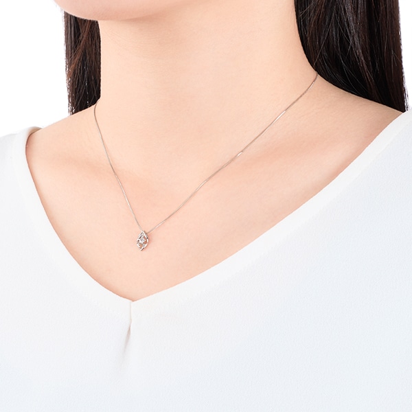 �v���`�i�_�C�������h�l�b�N���X