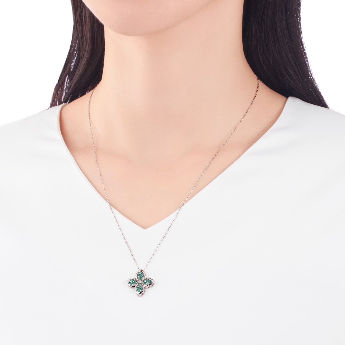 �v���`�i�G�������h�l�b�N���X