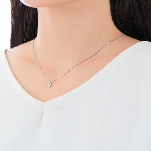 �v���`�i�_�C�������h�l�b�N���X