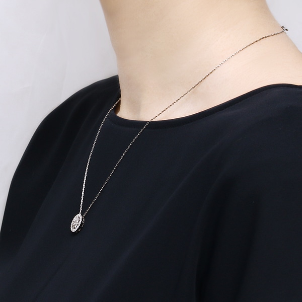 �v���`�i�_�C�������h�l�b�N���X