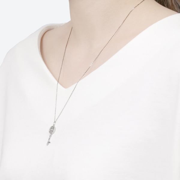 �v���`�i�_�C�������h�l�b�N���X