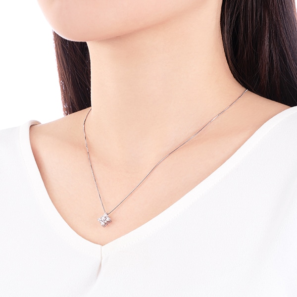 �v���`�i�_�C�������h�l�b�N���X