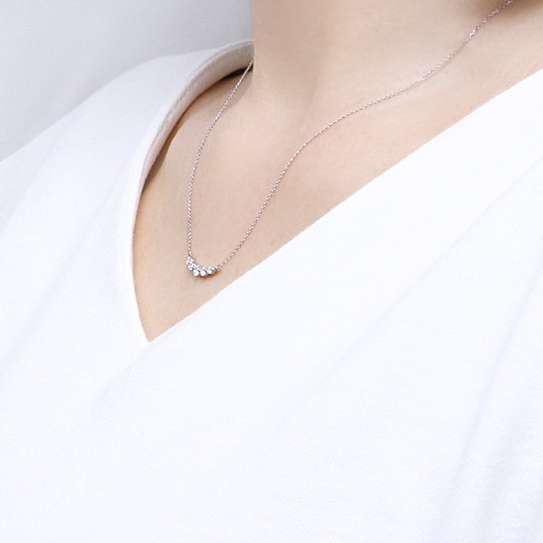 �v���`�i�_�C�������h�l�b�N���X