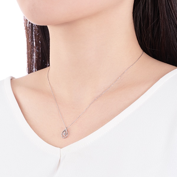 �v���`�i�_�C�������h�l�b�N���X