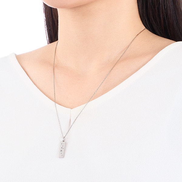 �v���`�i�_�C�������h�l�b�N���X