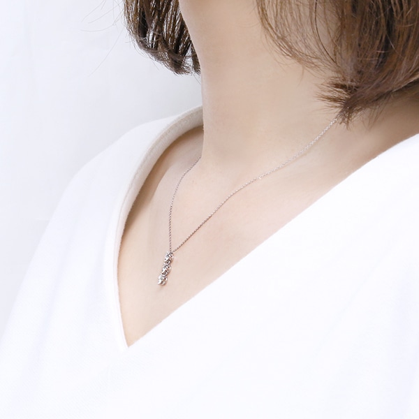 �v���`�i�_�C�������h�l�b�N���X