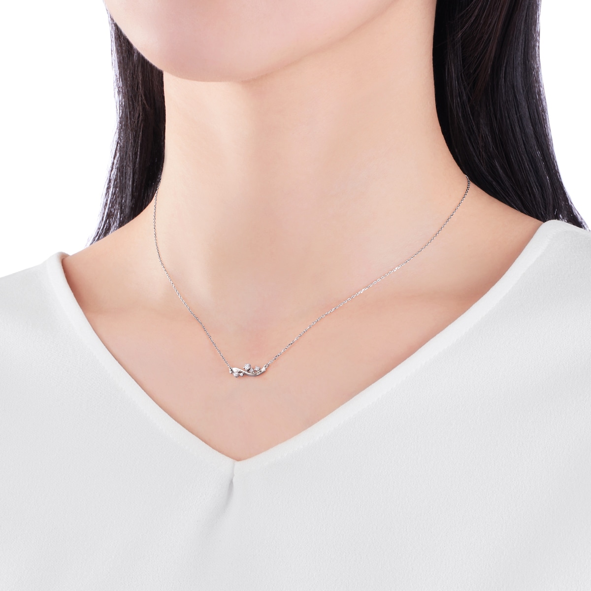 �v���`�i�_�C�������h�l�b�N���X