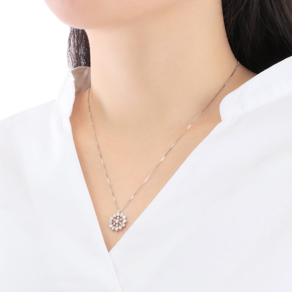 �v���`�i�_�C�������h�l�b�N���X