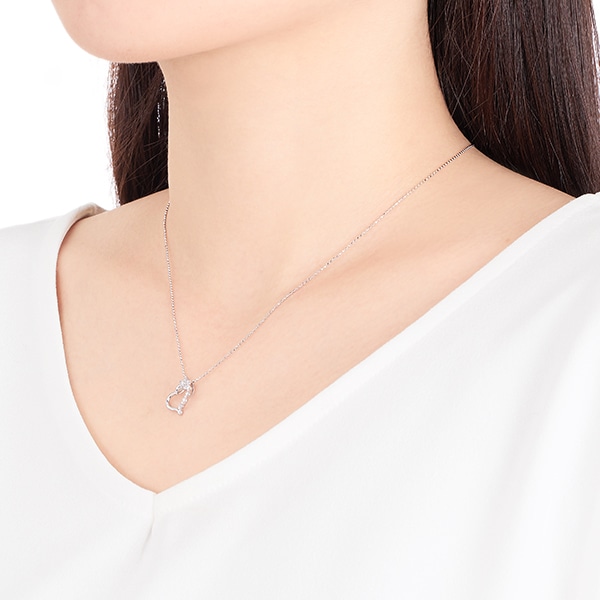 K10�z���C�g�S�[���h�_�C�������h�l�b�N���X