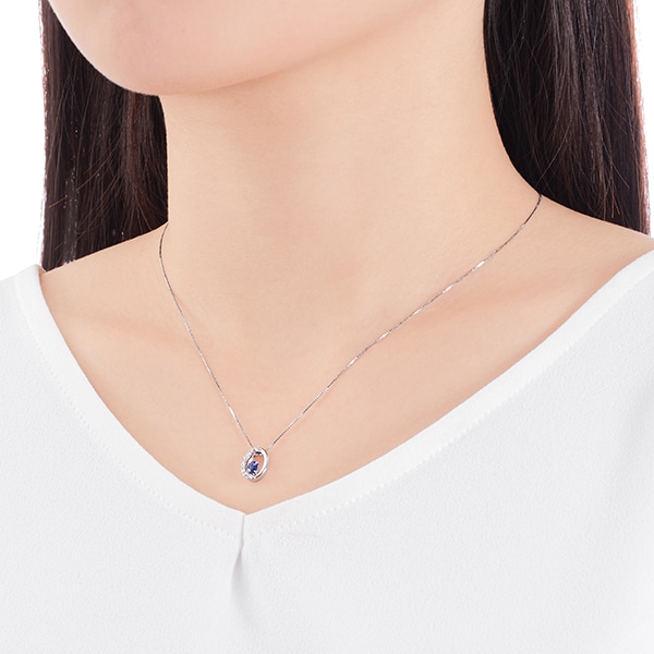 �v���`�i�T�t�@�C�A�l�b�N���X