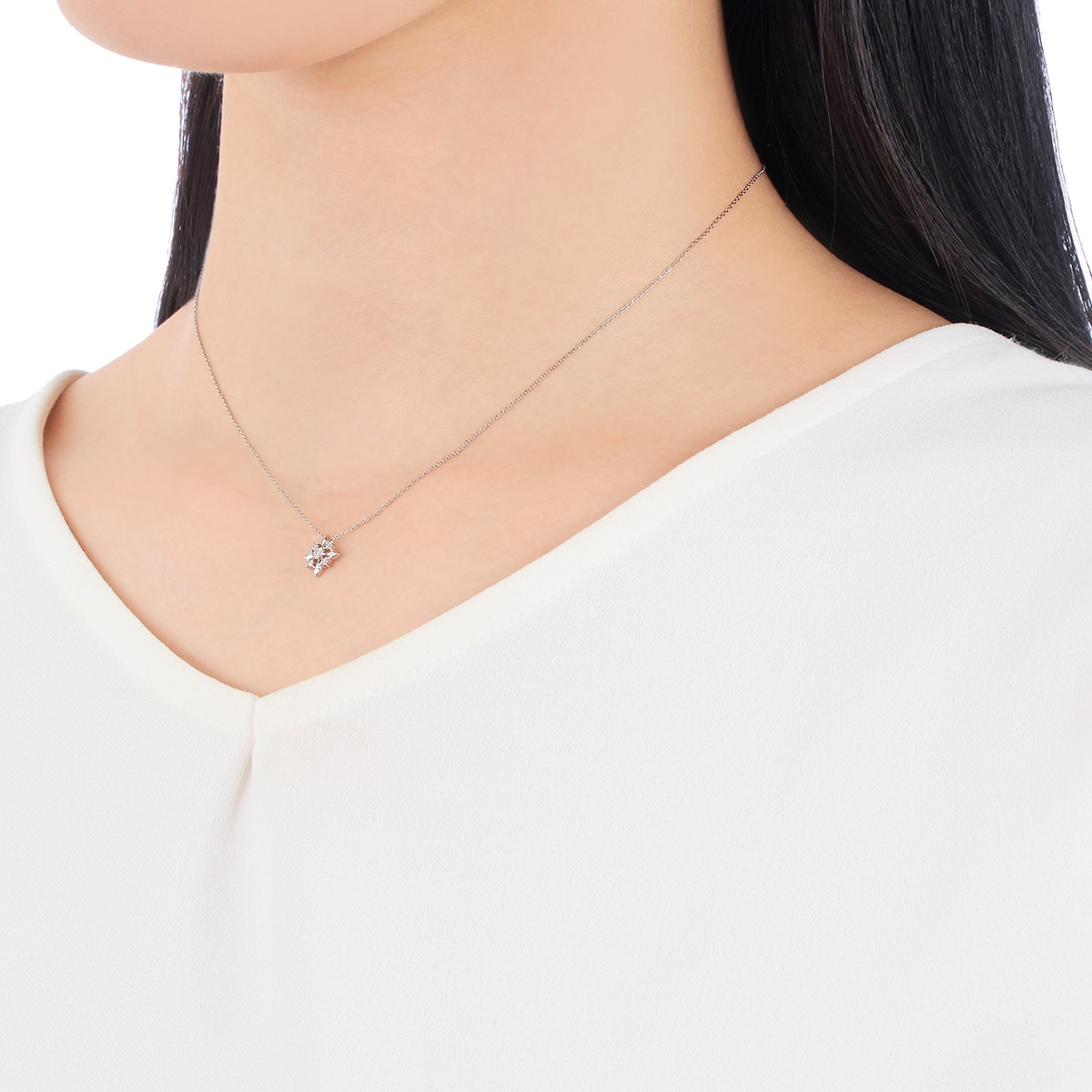 �v���`�i�_�C�������h�l�b�N���X