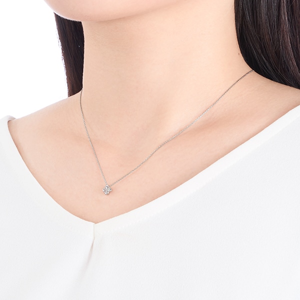 �v���`�i�_�C�������h�l�b�N���X